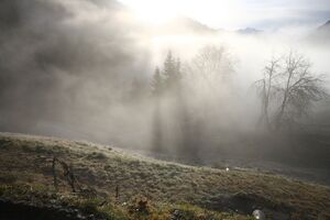 Halseralm-rittis 80038 2014-12-05.jpg