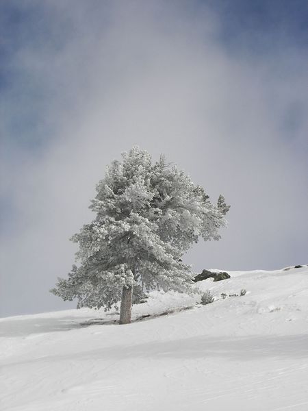 Datei:Hochfeld 42944 2006-01-19.jpg