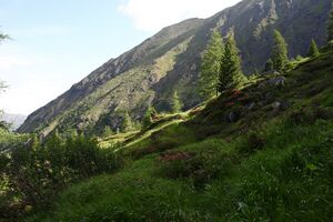 Im Hüttkar 39490 2012-06-29.jpg