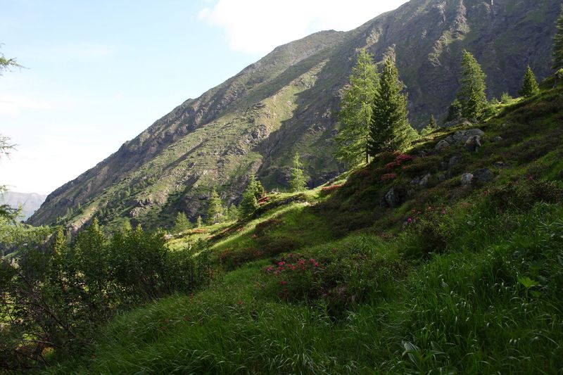 Datei:Im Hüttkar 39490 2012-06-29.jpg