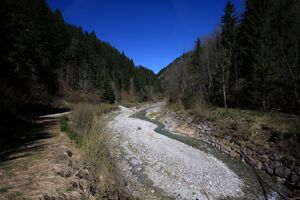 Kalte mandling010.jpg