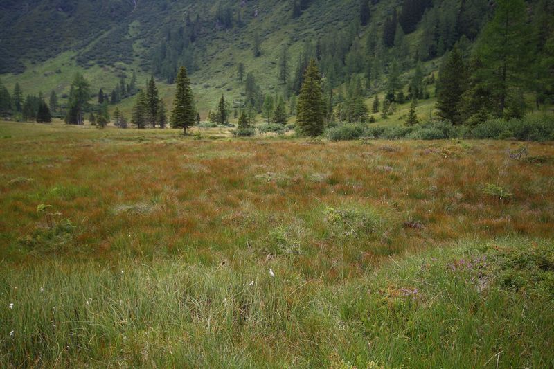 Datei:Knallkar großsölk 55653 2016-08-17.jpg