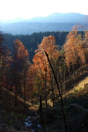 Luserfall 13308 2015-11-11.jpg