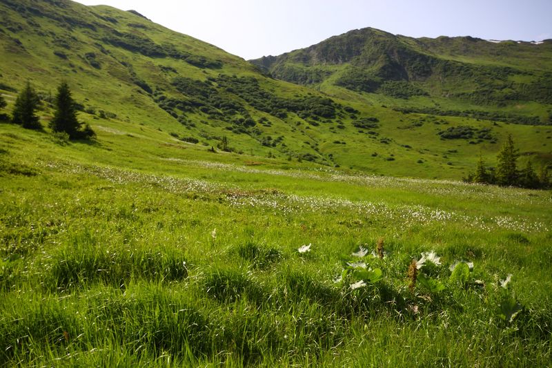Datei:Mößnakar 0861 13-07-12.jpg