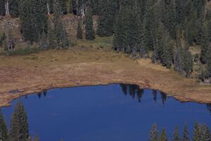 Miesbodensee 40550 2012-10-05.jpg