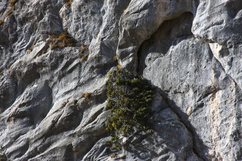 Datei:Oberwasseralm 79171 2014-11-15.jpg
