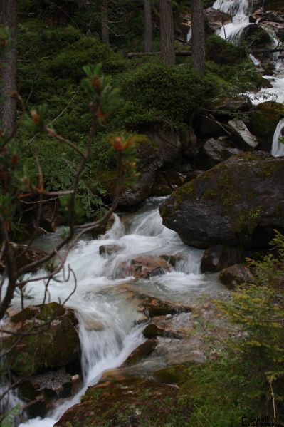 Datei:PreuneggbachIMG 5604.jpg