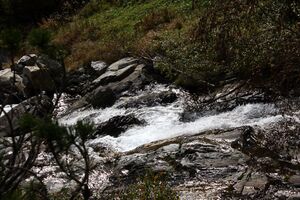 Säusenbach kleinsölk 73578 2014-10-03.jpg