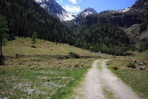 Sattental 45876 2017-05-19.jpg