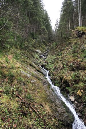 Schmiedberggraben mittereggtal 63423 2017-11-02.jpg