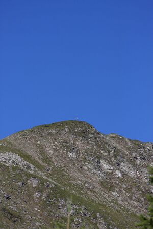 Spateck-kolbalm 94921 2015-07-11.jpg