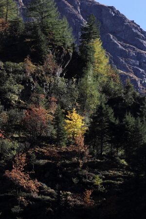 Steinriesental gollinghütte 59631 2017-10-02.jpg