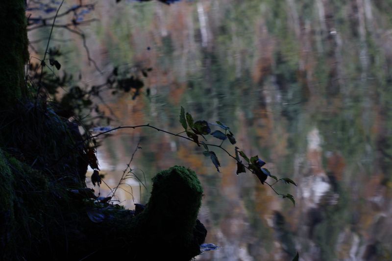 Datei:Toplitzsee 77772 2014-11-03.jpg