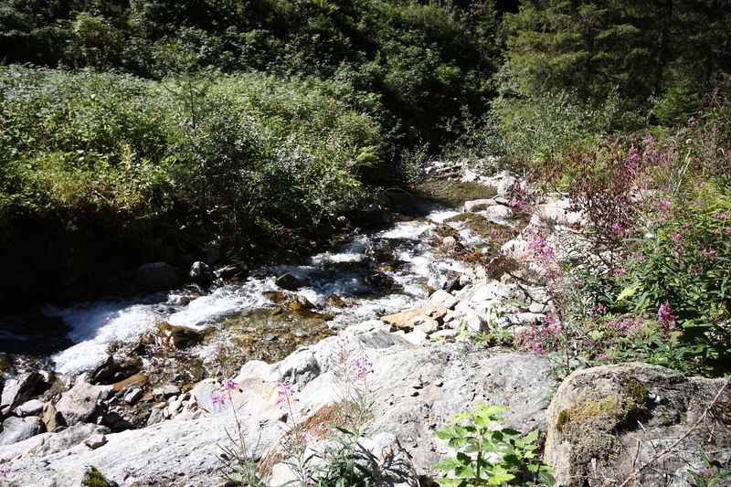 Datei:Tuchmoarbach 95942 2013-09-05.jpg