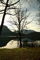 Altausseer See 78873 2014-11-15.jpg