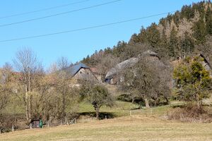 BH Stauchner goldbichl 11-0774-2025-03-06-2.jpg