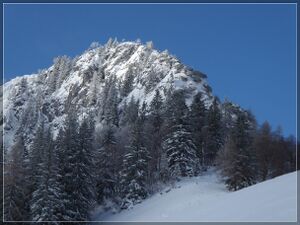 Bachermauer ( 07.12.23 ) 050.jpg