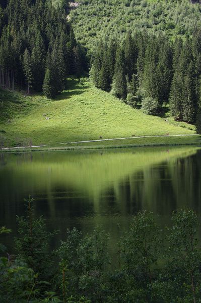 Datei:Bodensee seewigtal 63516 2014-06-21.jpg