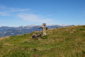 Brunnen Plotscherhütten-0289-2025-09-01.jpg