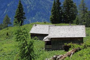 Gößlalm 77613 2018-06-04.jpg