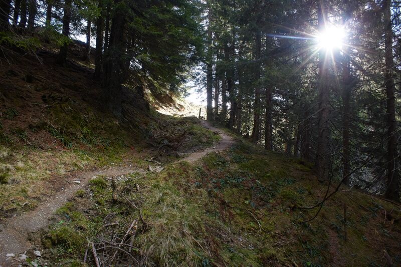 Datei:Gustl steig wagenbänkalm-0128-2022-11-14.jpg