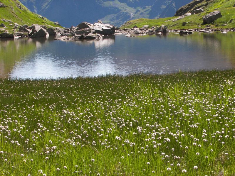 Datei:Kl-see-west-stegerkar 34159 2006-07-17.jpg