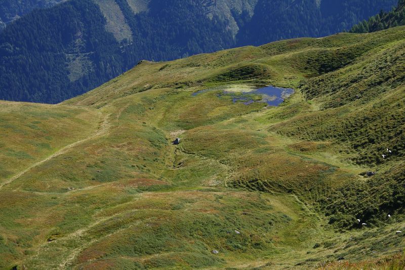 Datei:Spielbichleralm großsölk 33097 2016-08-26.jpg