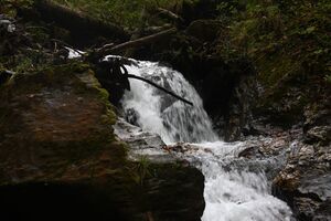 Teufelsschlucht Seewigtal 73410 2014-10-02.jpg