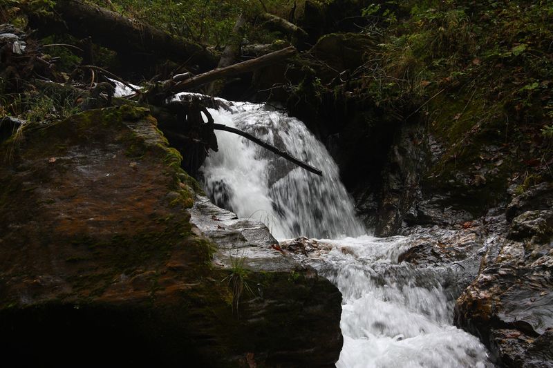 Datei:Teufelsschlucht Seewigtal 73410 2014-10-02.jpg
