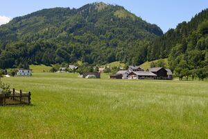 Untere Palfau-1020-2025-06-24.jpg