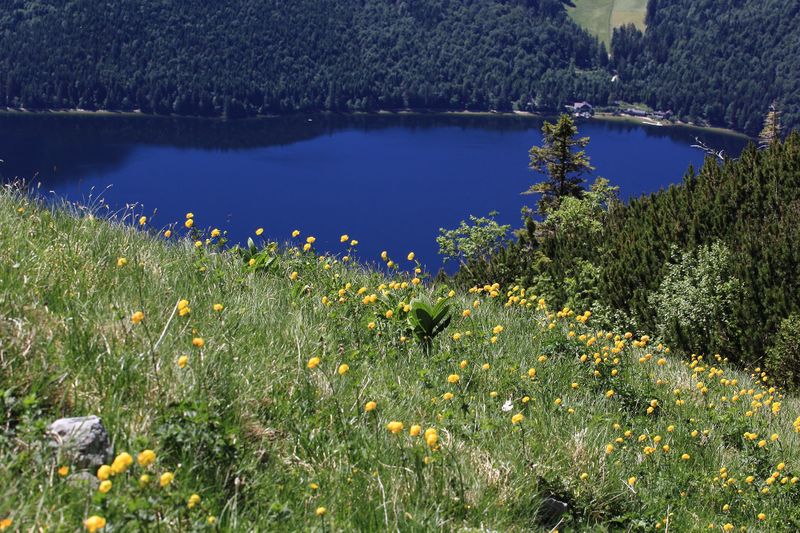 Datei:Altausseersee -graskogel 50754 2017-06-11.jpg