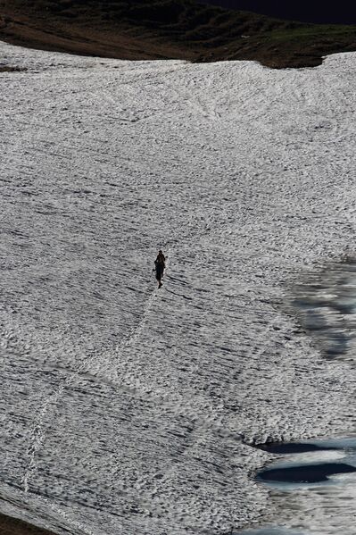 Datei:Augstsee loser 50345 2017-06-11.jpg