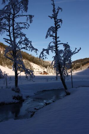 Bodensee 26624 2014-01-01.jpg