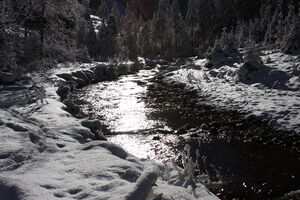 Bodenseerbach 26726 2014-01-01.jpg