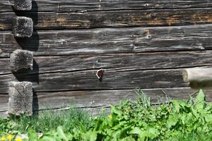 Breitlahnhütte 54870 2014-04-30.jpg