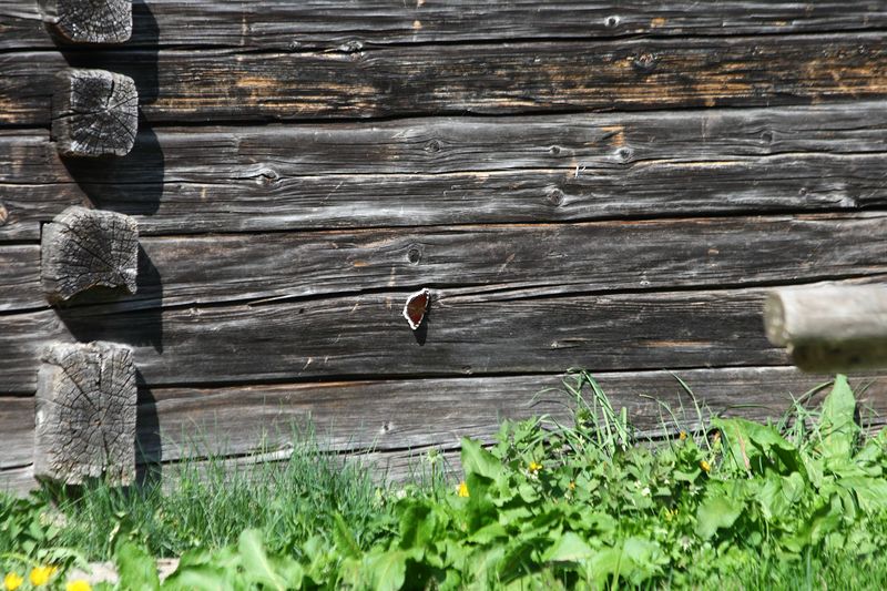 Datei:Breitlahnhütte 54870 2014-04-30.jpg