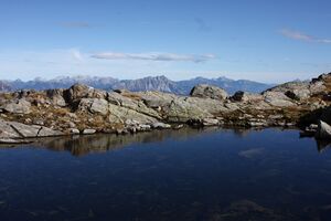 Goldlacken 0409 2013-10-08.jpg