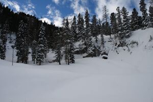 Große wiesmahd 80424 2015-01-07.jpg