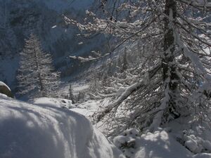 Im stegerkar 47930 2007-01-26.jpg