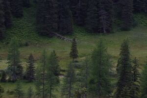 Knallkar großsölk 55636 2016-08-17.jpg