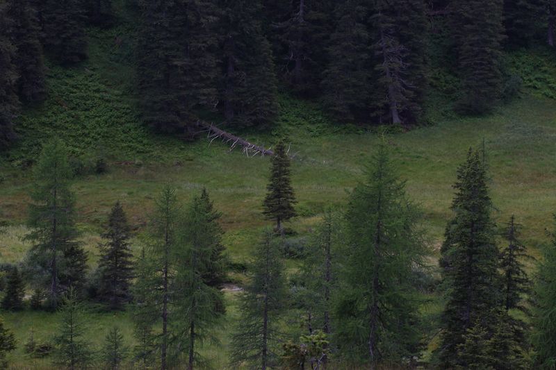 Datei:Knallkar großsölk 55636 2016-08-17.jpg