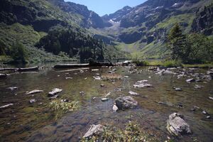 Obersee seewigtal 30325 2011-08-02.jpg