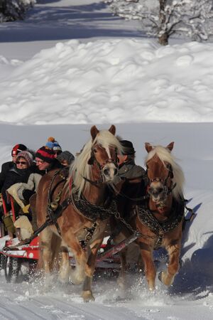 Pferdeschlit gruberstbe ramsau 93568 2019-01-11.jpg