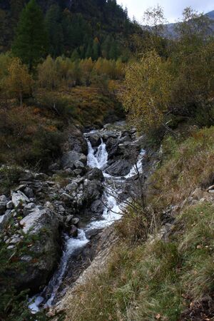Säusenbach kleinsölk 73586 2014-10-03.jpg