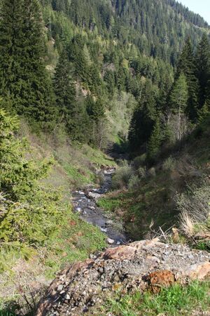 Strickerbach 55482 2014-05-02.jpg