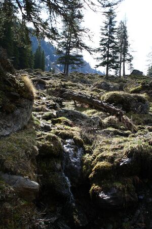 Strickerkar 55667 2014-05-02.jpg