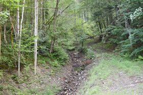 Sulzbach Krippau-0053-2025-06-24.jpg