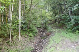 Sulzbach Krippau-0053-2025-06-24.jpg