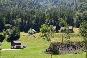 Trittelhuber palfau 65-0743-2025-06-24.jpg