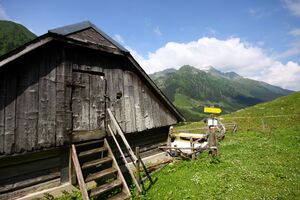 Winkleralm 2561 13-07-09.JPG